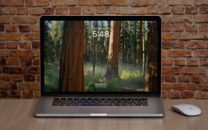 Set macOS to Require a Password after Screen Saver Start or Display Sleep | AustinMacWorks.com